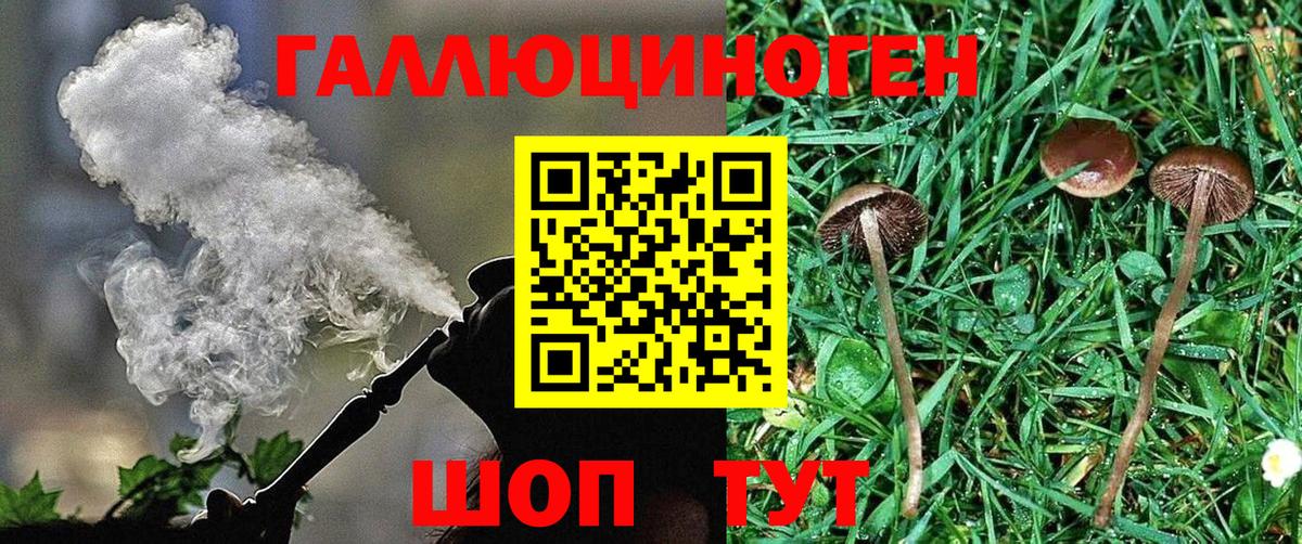 Галлюциногенные грибы мухоморы Семилуки